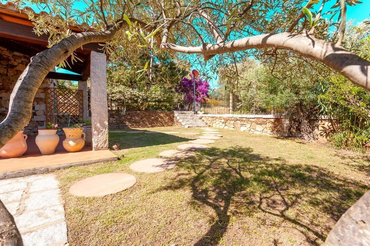 B&B Pettirosso Garden ซาน เตโอโดโร ภายนอก รูปภาพ